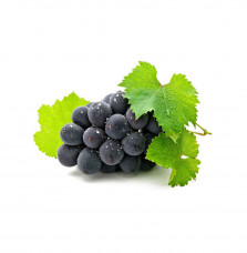 Exotic Delicious Juicy Fresh Blue Grapes