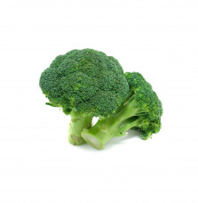 Organic Fresh Green Cannscape Broccoli