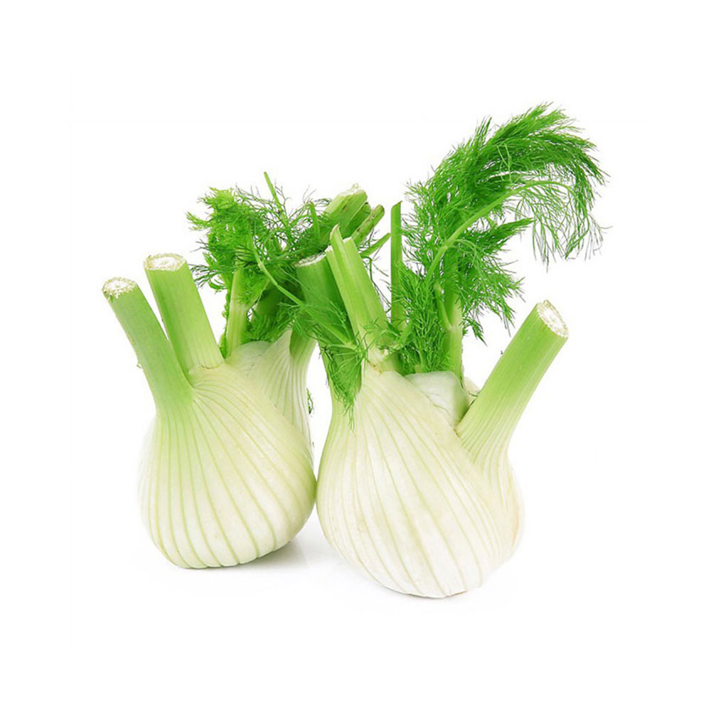 AllThatGrows Fennel/Saunf Herb Seeds - Pack of 200 Seeds