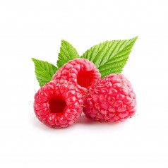 Fresh Red Matrix Raspberry Seeds Fruit Seeds