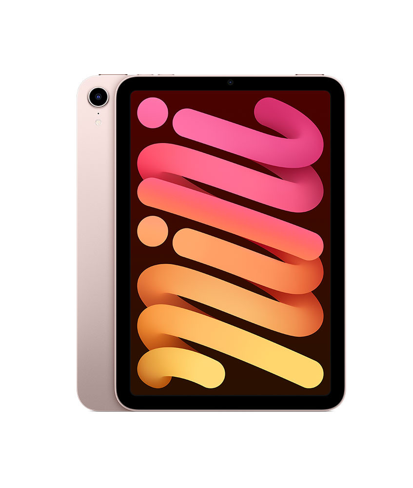 Apple 2021 iPad Mini with A15 (Wi-Fi, 256GB)