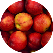 Fresh Apples