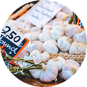 Organic Garlic