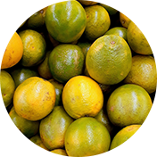 Pomelo Fruits