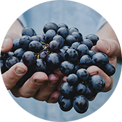 Black Grapes