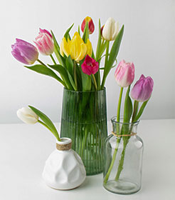 Perennial Flowers